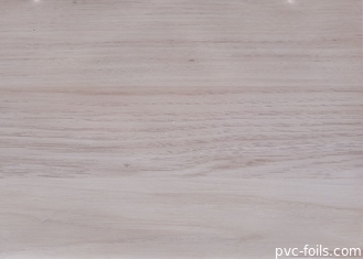 La mobilia del PVC dell'essicatore di vuoto sventa il rotolo 0.50mm per le porte di Memrbane
