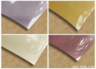 film del PVC metallizzato 0.6mm per solido di lucentezza della copertura del Governo l'alto